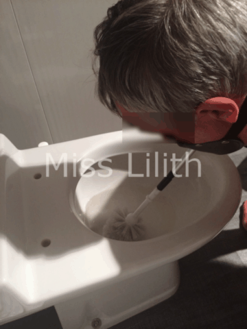 nettoyage des toilettes a la bouche